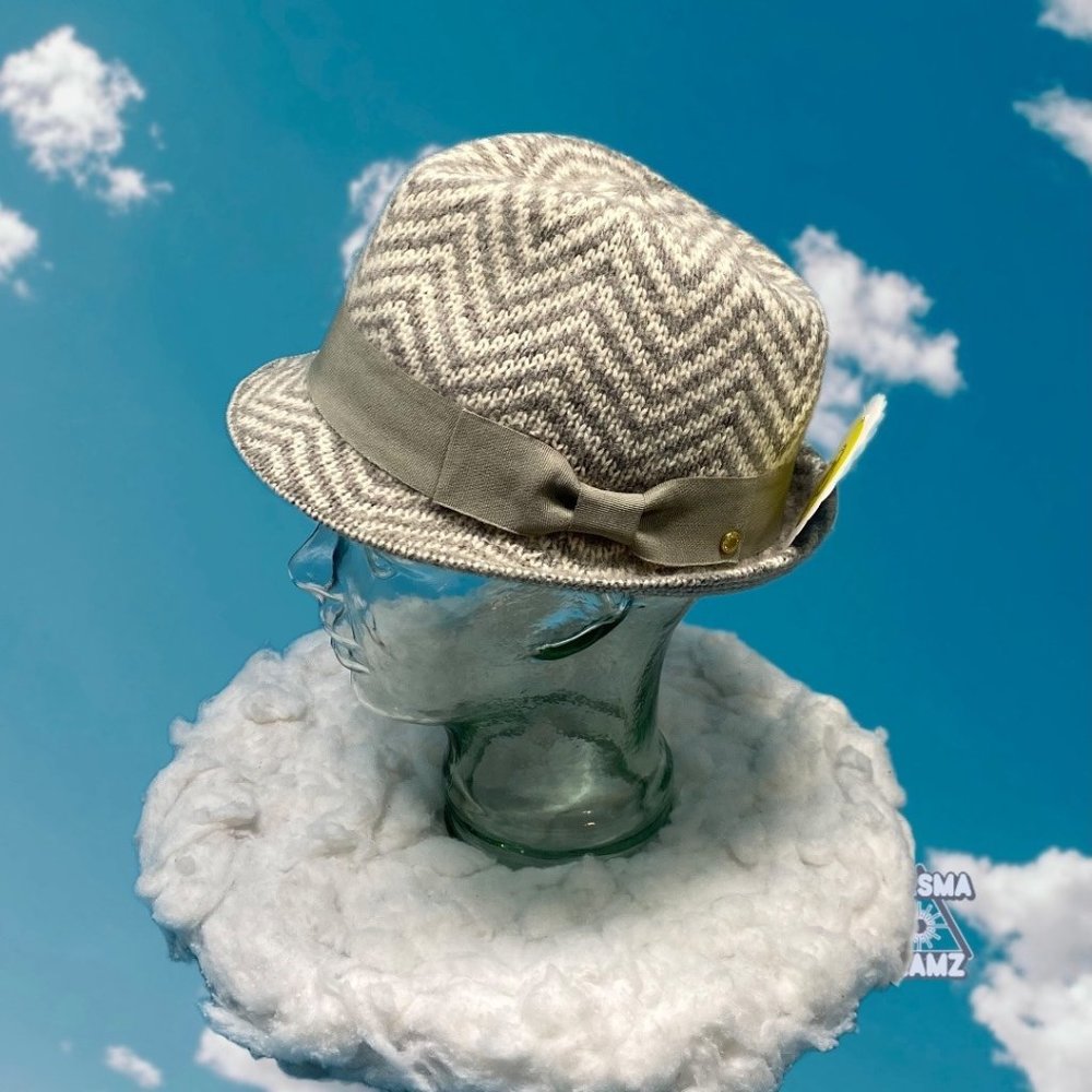 Bcbgeneration Knit Chevron Fedora - image 1